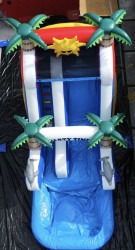 IMG 1372 1768659379 Water Slide Rental-Dolphin