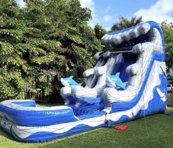 IMG 1392 1768661335 Water Slide Rental-Shark