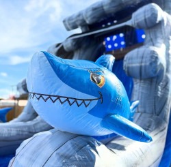IMG 1393 1768661335 Water Slide Rental-Shark